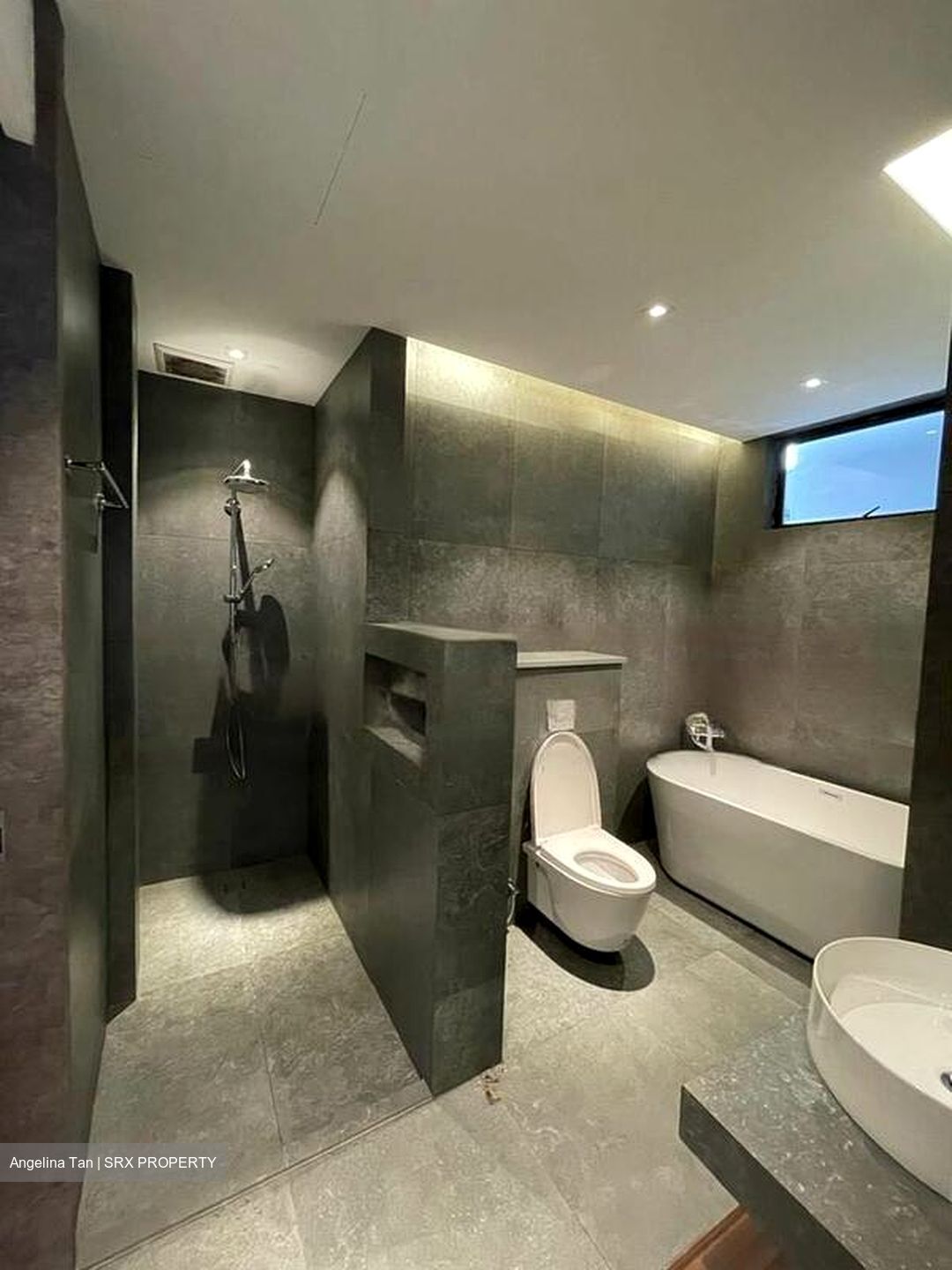 Dynasty Lodge (D10), Apartment #464993521